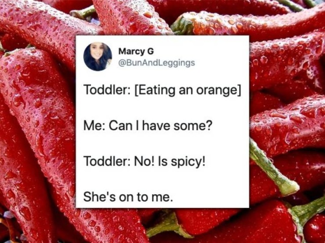 Very Funny And True Tweets About Toddlers (28 pics)
