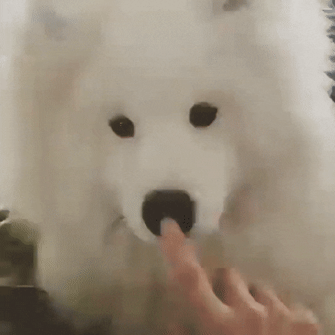 Acid Gifdump, May 16 (25 gifs)