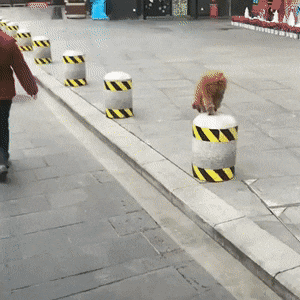 Acid Gifdump, May 16 (25 gifs)