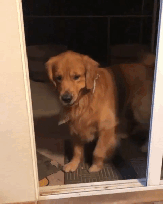 Acid Gifdump, May 16 (25 gifs)