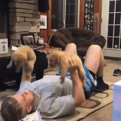 Acid Gifdump, May 16 (25 gifs)