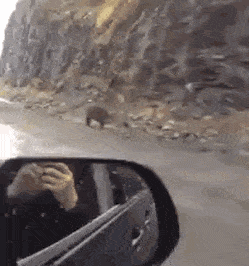 Acid Gifdump, May 16 (25 gifs)