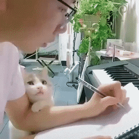 Acid Gifdump, May 16 (25 gifs)