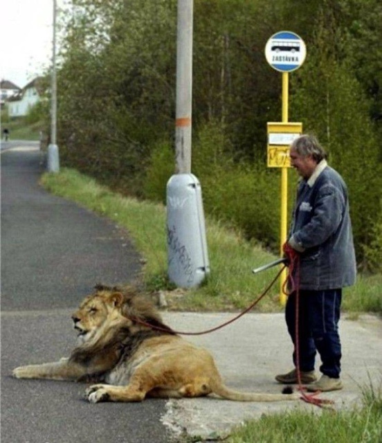 Acid Picdump (63 pics)
