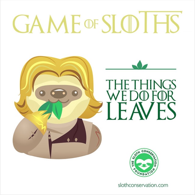 Game Of Sloths (11 pics)