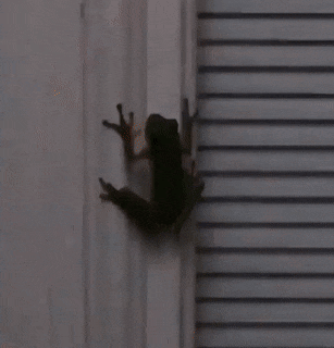 Acid Gifdump, May 17 (25 gifs)