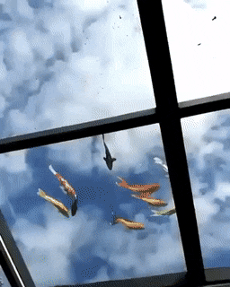 Acid Gifdump, May 17 (25 gifs)