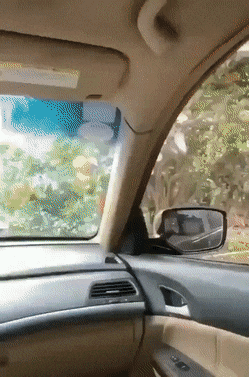 Acid Gifdump, May 17 (25 gifs)