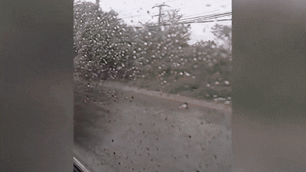 Acid Gifdump, May 17 (25 gifs)