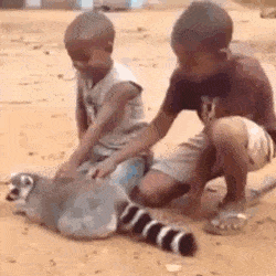 Acid Gifdump, May 17 (25 gifs)