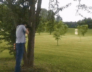 Acid Gifdump, May 17 (25 gifs)