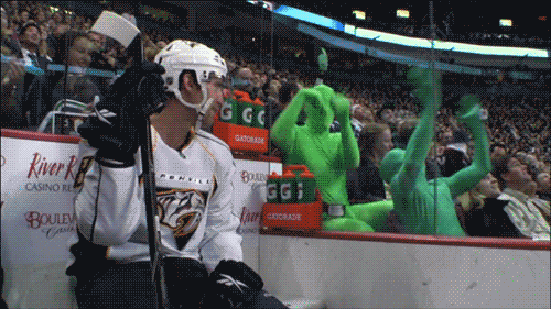 Funny NHL Moments (18 gifs)