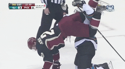 Funny NHL Moments (18 gifs)