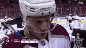 Funny NHL Moments (18 gifs)