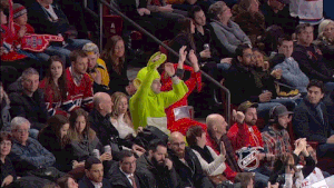 Funny NHL Moments (18 gifs)