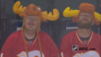 Funny NHL Moments (18 gifs)