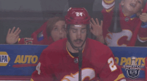 Funny NHL Moments (18 gifs)