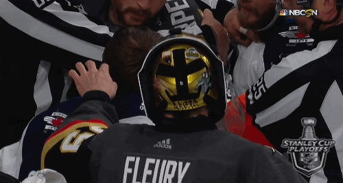 Funny NHL Moments (18 gifs)