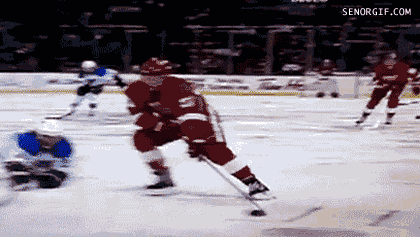 Funny NHL Moments (18 gifs)