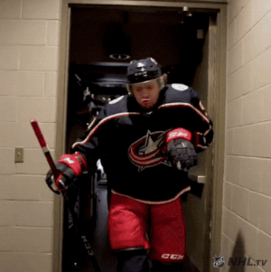 Funny NHL Moments (18 gifs)