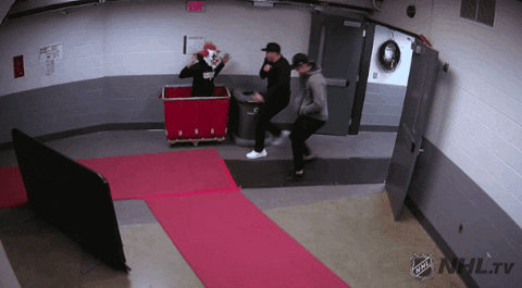 Funny NHL Moments (18 gifs)