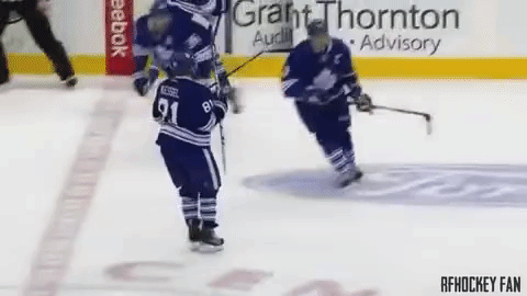 Funny NHL Moments (18 gifs)