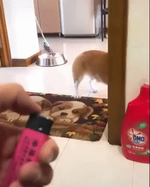Acid Gifdump, May 20 (25 gifs)