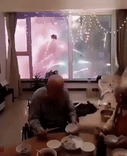 Acid Gifdump, May 20 (25 gifs)