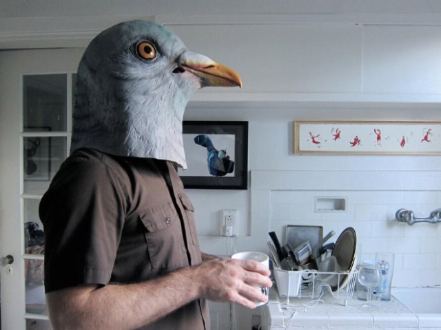 People In Pigeon Masks (21 pics)