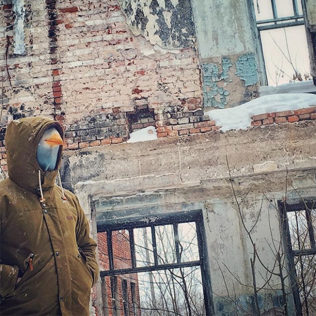 People In Pigeon Masks (21 pics)