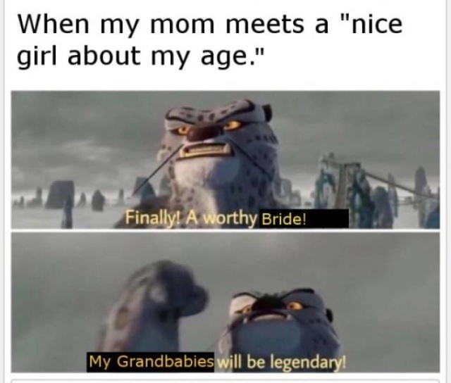 So True (43 pics)