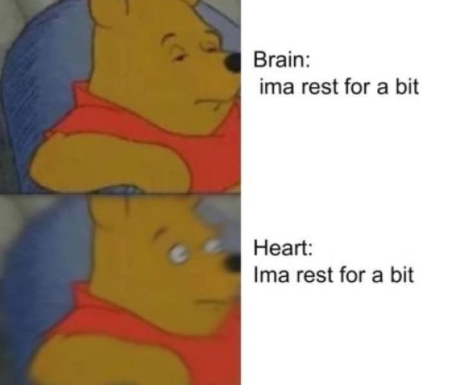 So True (43 pics)