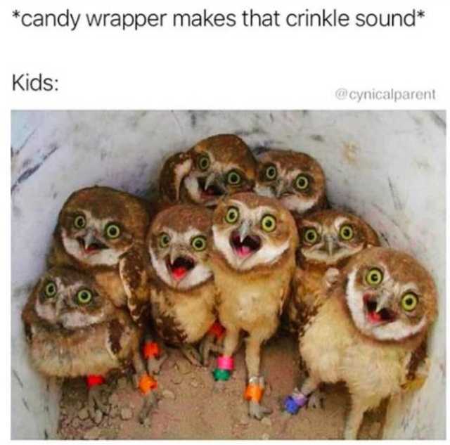 So True (43 pics)