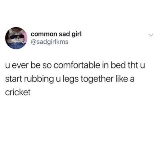 So True (43 pics)