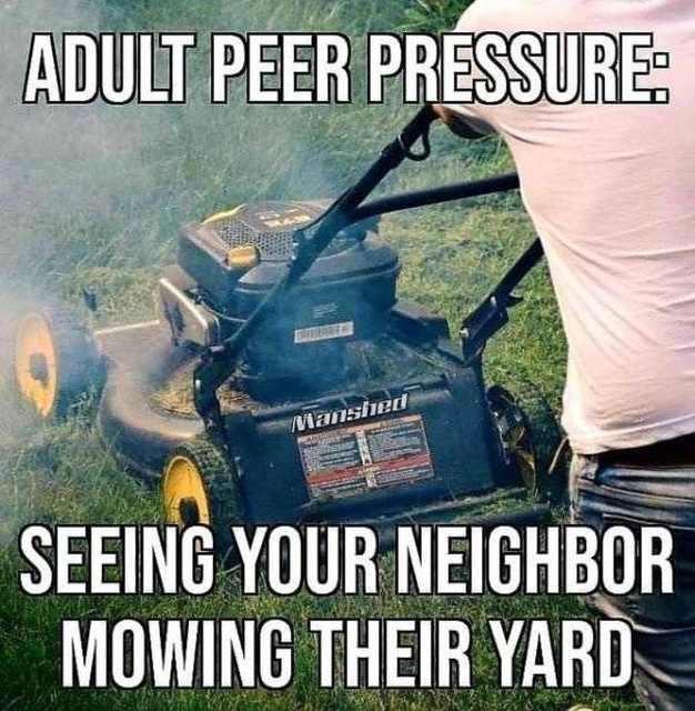 So True (43 pics)
