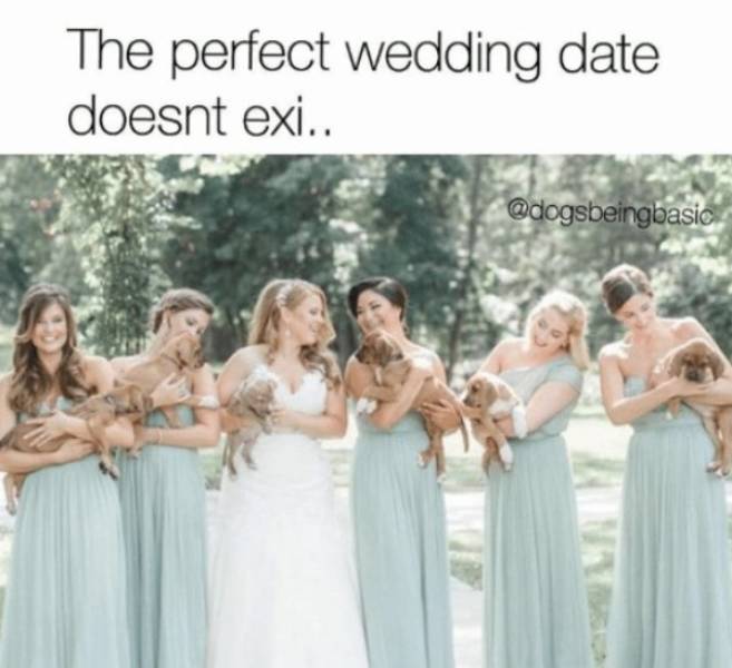 Wedding Party Memes (30 pics)