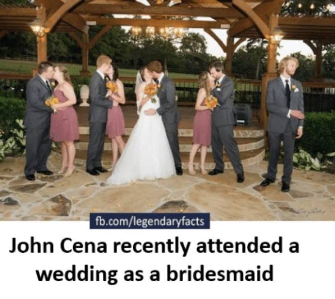 Wedding Party Memes (30 pics)