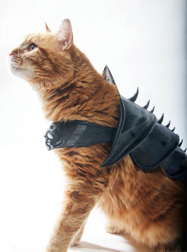 3D Printed Armor For A Cat (9 pics)