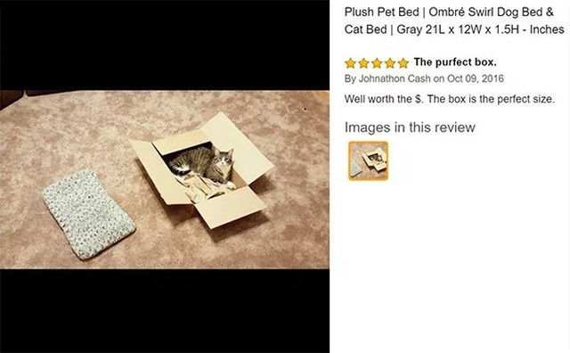 Funny Amazon Questions And Reviews (28 pics)