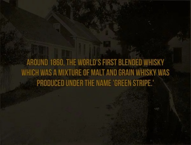 Scotch Facts (17 pics)