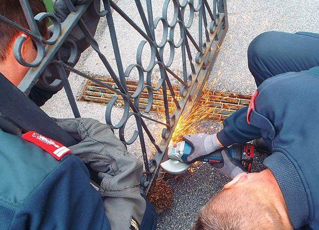 Stuck Hedgehog Rescued In Austria (3 pics)
