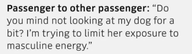 Overheard In Ubers (25 pics)