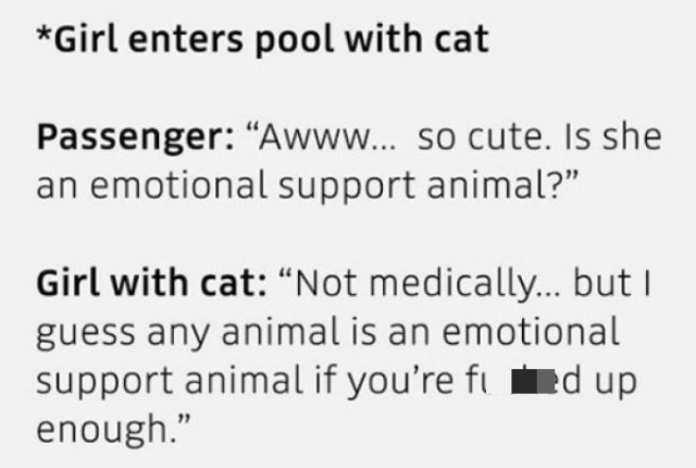 Overheard In Ubers (25 pics)