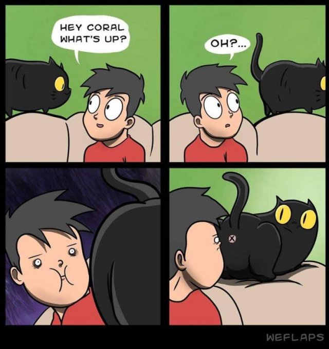 Funny Comics About Living With A Cat (31 pics)
