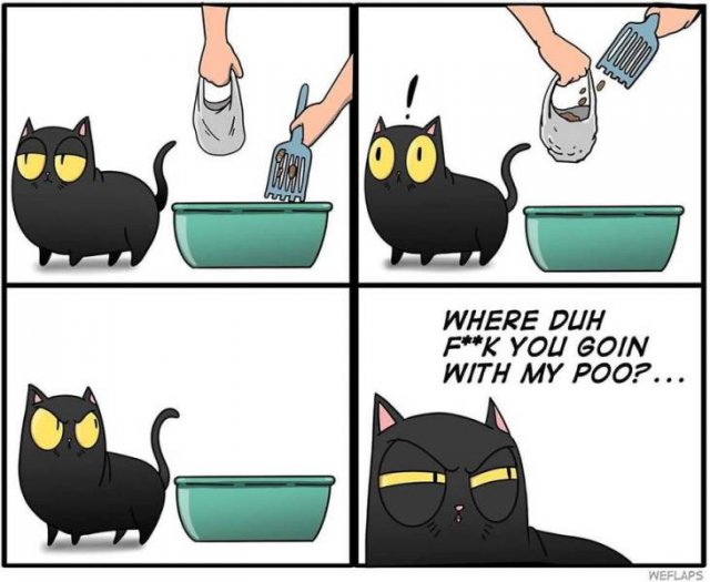 Funny Comics About Living With A Cat (31 pics)