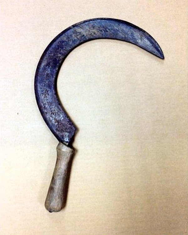 People Were Trying To Smuggle This Staff On Planes (39 pics)