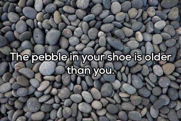 Shower Thoughts (20 pics)