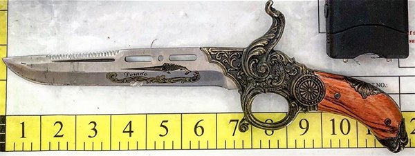 People Were Trying To Smuggle This Staff On Planes (39 pics)