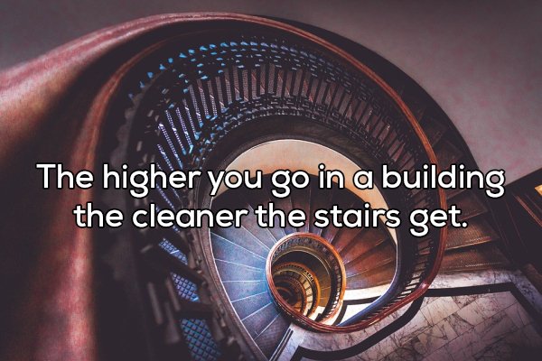 Shower Thoughts (20 pics)