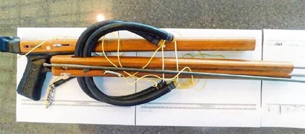 People Were Trying To Smuggle This Staff On Planes (39 pics)